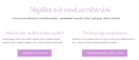 Hledám zaměstnání jako chůva v jeslích